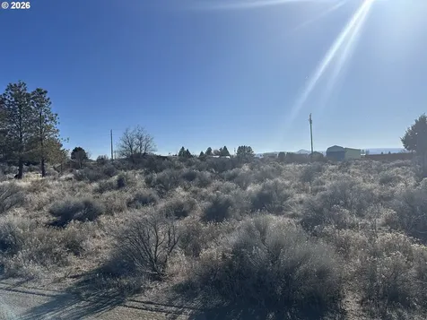 Wonderland Street Christmas Valley OR 97641
