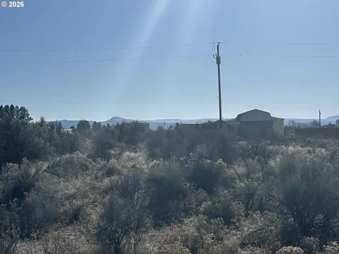 Wonderland Street Christmas Valley OR 97641