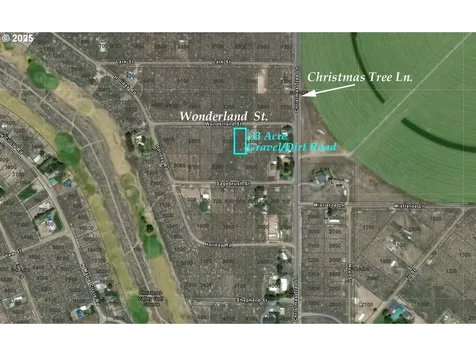 Wonderland Street Christmas Valley OR 97641