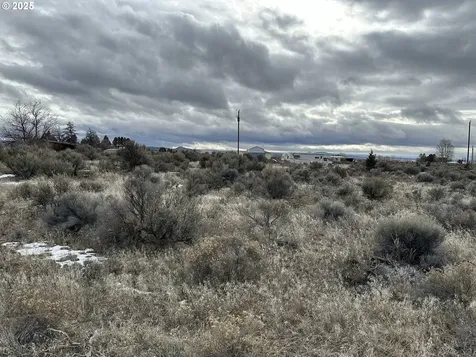 Wonderland Street Christmas Valley OR 97641