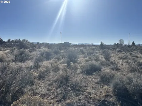 Wonderland Street Christmas Valley OR 97641