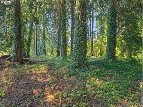 8111 NE 88th Street Vancouver WA 98662
