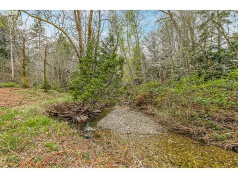 159 Bloom Road Wolf Creek OR 97497