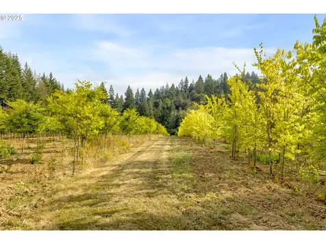 29630 SE Wheeler Road Boring OR 97009