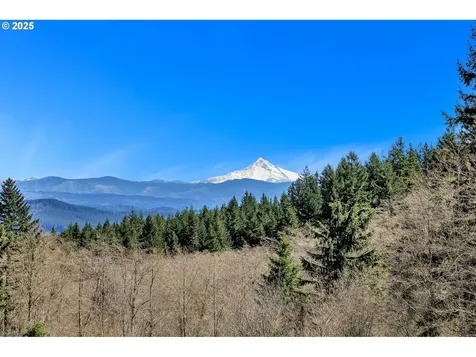 8203 NE 298th Court Camas WA 98607