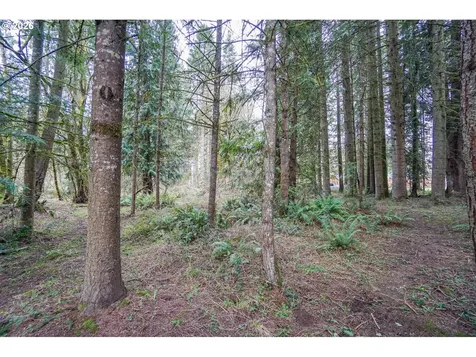 15614 NW 11th Avenue Vancouver WA 98685