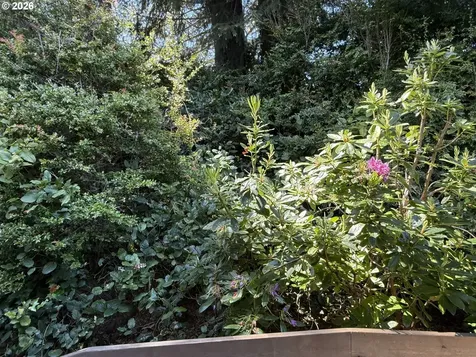 665 Village Pines Drive Coos Bay OR 97420
