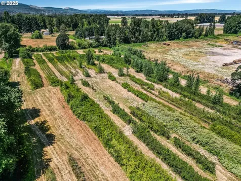 1018 Caples Road Woodland WA 98674