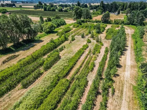 1018 Caples Road Woodland WA 98674