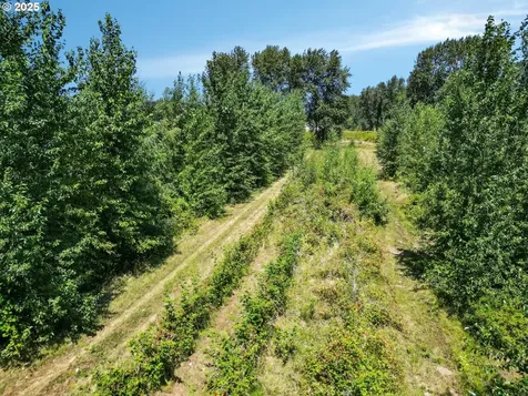 1018 Caples Road Woodland WA 98674