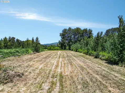 1018 Caples Road Woodland WA 98674