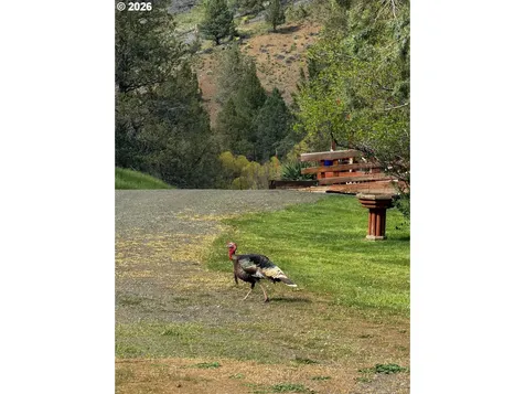 20480 Hwy 395 N Mount Vernon OR 97865