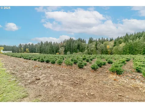 29795 SE Gruber Road Estacada OR 97023