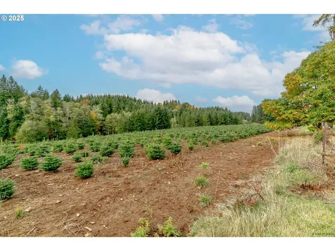 29795 SE Gruber Road Estacada OR 97023