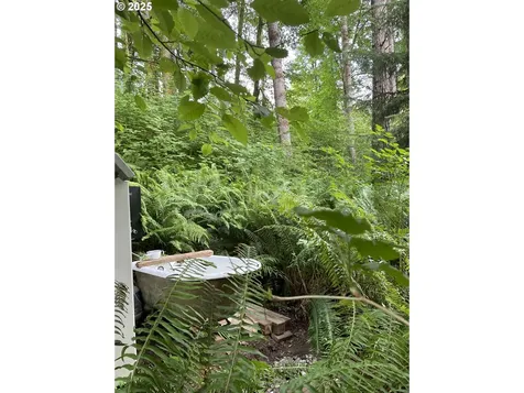 71424 Fishhawk Road Clatskanie OR 97016
