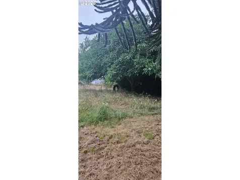 12374 River Front Road Clatskanie OR 97016