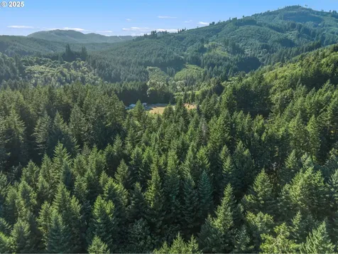 220 Tangen Road Woodland WA 98674