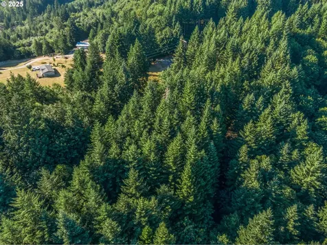 220 Tangen Road Woodland WA 98674