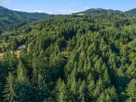 220 Tangen Road Woodland WA 98674