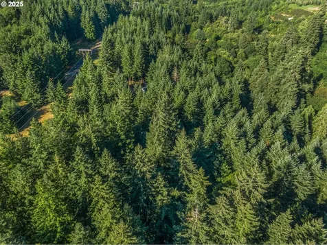 220 Tangen Road Woodland WA 98674