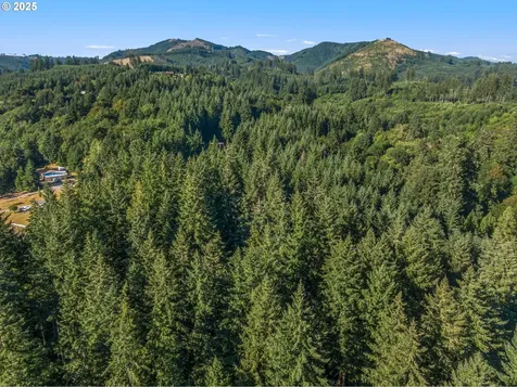 220 Tangen Road Woodland WA 98674