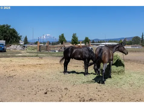 1102 S Roosevelt Street Goldendale WA 98620