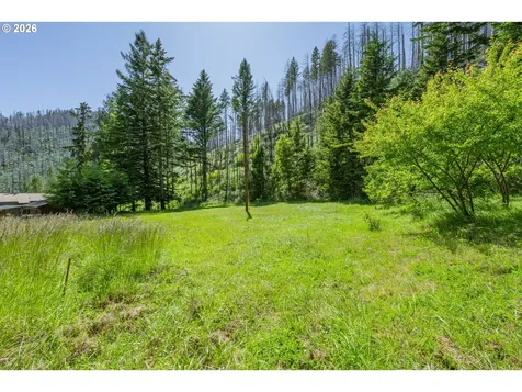 142 Evergreen Springs Lane Idleyld Park OR 97447
