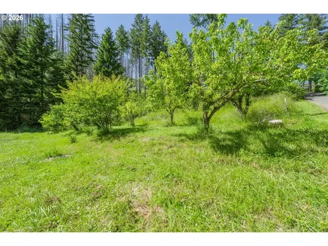 142 Evergreen Springs Lane Idleyld Park OR 97447