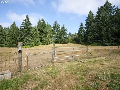 1109 NE 389th Street Woodland WA 98674