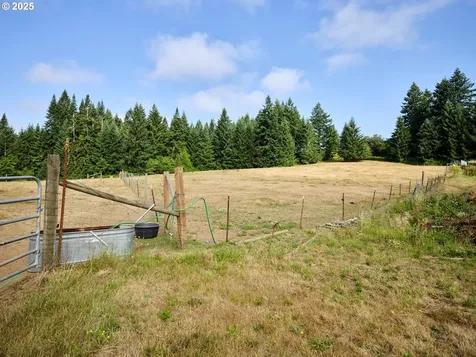1109 NE 389th Street Woodland WA 98674