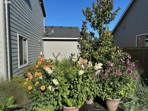1491 Foxglove Street Woodburn OR 97071