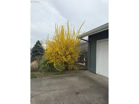 3138 NE 158th Avenue Portland OR 97230