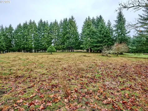 20788 Hazelnut Ridge Road NE Scotts Mills OR 97375