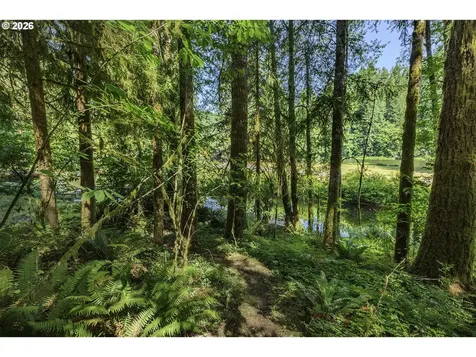 9947 Beach Drive Birkenfeld OR 97016