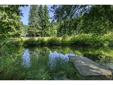9947 Beach Drive Birkenfeld OR 97016