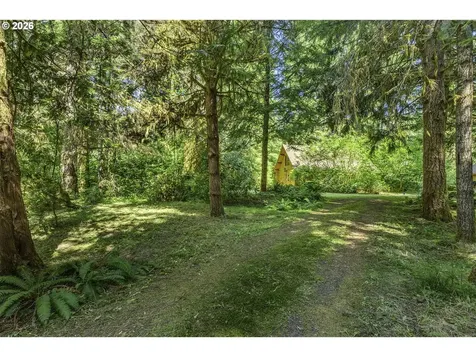9947 Beach Drive Birkenfeld OR 97016