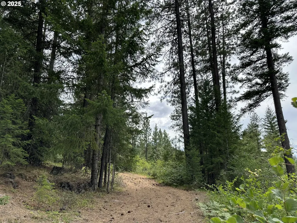000 Forest Glen Goldendale WA 98620