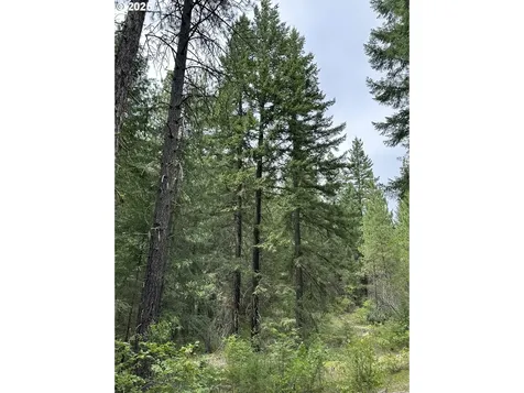 000 Forest Glen Goldendale WA 98620