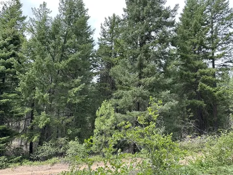 000 Forest Glen Goldendale WA 98620