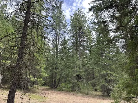 000 Forest Glen Goldendale WA 98620