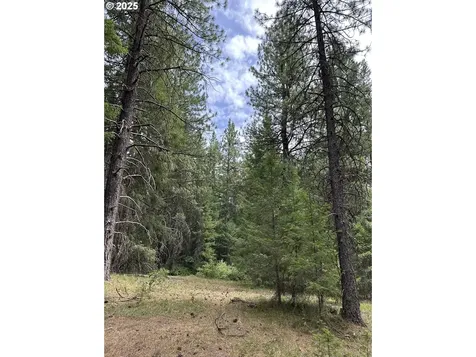 000 Forest Glen Goldendale WA 98620