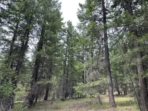 000 Forest Glen Goldendale WA 98620