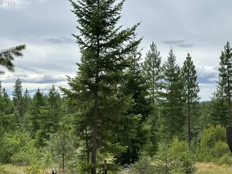 000 Forest Glen Goldendale WA 98620