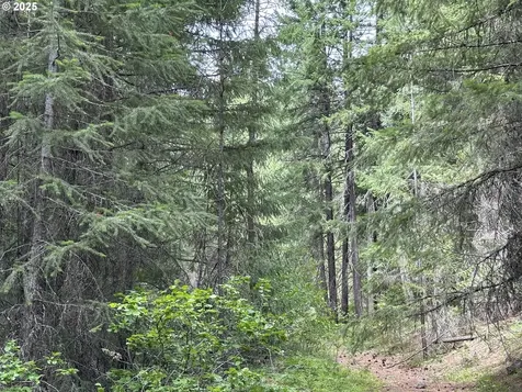 000 Forest Glen Goldendale WA 98620