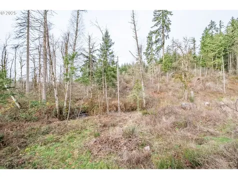 13087 S Butte Creek Road Scotts Mills OR 97375