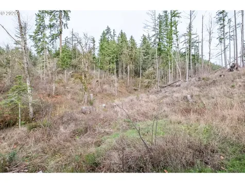 13087 S Butte Creek Road Scotts Mills OR 97375