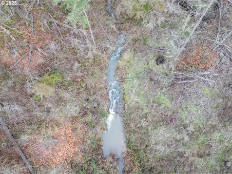13087 S Butte Creek Road Scotts Mills OR 97375