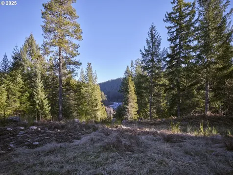 192 Sasquatch Way Cougar WA 98616