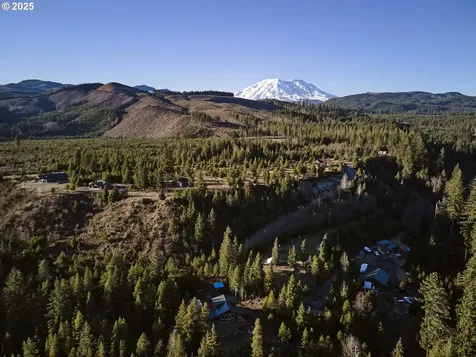 192 Sasquatch Way Cougar WA 98616