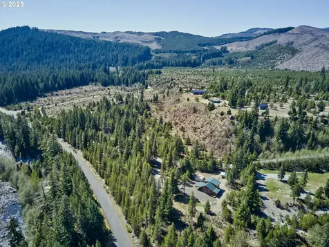 192 Sasquatch Way Cougar WA 98616